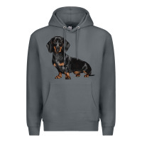 Rock Dachshund Dog Illustrations Premium Hoodie - LillyAllenDesigns