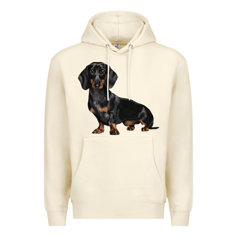 Dachshund Dog Illustrations Premium Hoodie by LillyAllenDesigns | Teevron