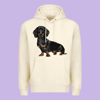 Dachshund Dog Illustrations Premium Hoodie Designed By Lillyallendesigns