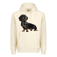 Sandshell Dachshund Dog Illustrations Premium Hoodie - LillyAllenDesigns