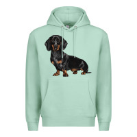 Seafoam Dachshund Dog Illustrations Premium Hoodie - LillyAllenDesigns