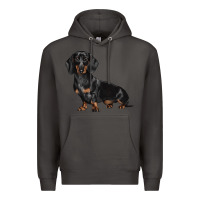 Smoke Dachshund Dog Illustrations Premium Hoodie - LillyAllenDesigns