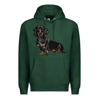 Sports Green Dachshund Dog Illustrations Premium Hoodie - LillyAllenDesigns