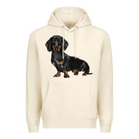 Tofu Dachshund Dog Illustrations Premium Hoodie - LillyAllenDesigns