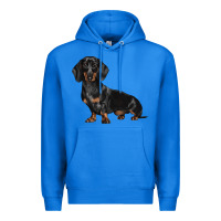 True Royal Dachshund Dog Illustrations Premium Hoodie - LillyAllenDesigns