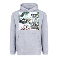 Heather Grey don't mess with mamasaurus Heavyweight Hoodie - JahusDesignShop