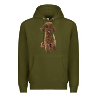 Army Green Poodles Dog lllustrations Premium Hoodie - LillyAllenDesigns