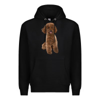 Black Poodles Dog lllustrations Premium Hoodie - LillyAllenDesigns