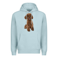 Blue Mist Poodles Dog lllustrations Premium Hoodie - LillyAllenDesigns