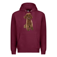 Burgundy Poodles Dog lllustrations Premium Hoodie - LillyAllenDesigns