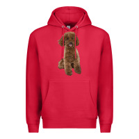 Cardinal Poodles Dog lllustrations Premium Hoodie - LillyAllenDesigns