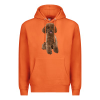Carrot Poodles Dog lllustrations Premium Hoodie - LillyAllenDesigns