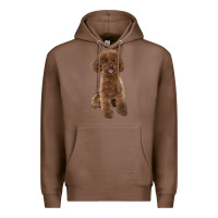 Chestnut Poodles Dog lllustrations Premium Hoodie - LillyAllenDesigns