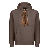 Coffee Poodles Dog lllustrations Premium Hoodie - LillyAllenDesigns