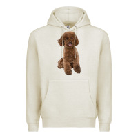 Oatmeal Heather Poodles Dog lllustrations Premium Hoodie - LillyAllenDesigns