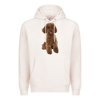 Pale Pink Poodles Dog lllustrations Premium Hoodie - LillyAllenDesigns