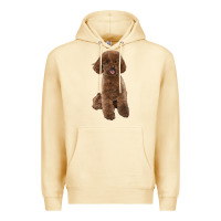 Pina Colada Poodles Dog lllustrations Premium Hoodie - LillyAllenDesigns