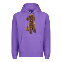 Purple Poodles Dog lllustrations Premium Hoodie - LillyAllenDesigns