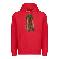 Red Poodles Dog lllustrations Premium Hoodie - LillyAllenDesigns