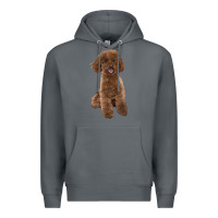 Rock Poodles Dog lllustrations Premium Hoodie - LillyAllenDesigns