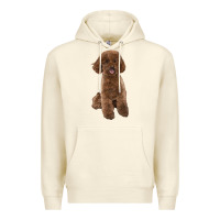Sandshell Poodles Dog lllustrations Premium Hoodie - LillyAllenDesigns