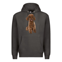 Smoke Poodles Dog lllustrations Premium Hoodie - LillyAllenDesigns