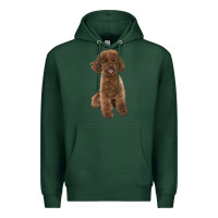 Sports Green Poodles Dog lllustrations Premium Hoodie - LillyAllenDesigns
