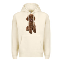 Tofu Poodles Dog lllustrations Premium Hoodie - LillyAllenDesigns