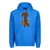 True Royal Poodles Dog lllustrations Premium Hoodie - LillyAllenDesigns