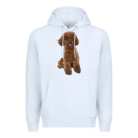 White Poodles Dog lllustrations Premium Hoodie - LillyAllenDesigns