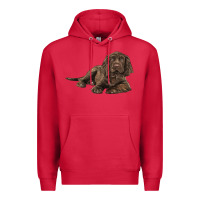 Cardinal Sussex Spaniels llustrations Premium Hoodie - LillyAllenDesigns