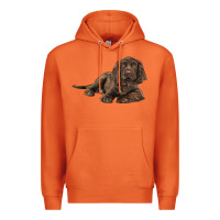 Carrot Sussex Spaniels llustrations Premium Hoodie - LillyAllenDesigns