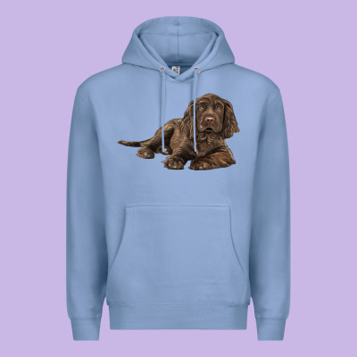 Sussex Spaniels Llustrations Premium Hoodie Designed By Lillyallendesigns
