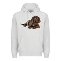 Dove Grey Sussex Spaniels llustrations Premium Hoodie - LillyAllenDesigns