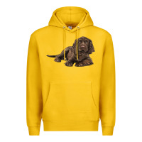 Lemon Sussex Spaniels llustrations Premium Hoodie - LillyAllenDesigns