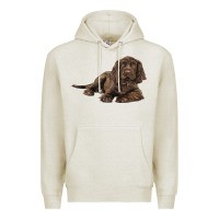 Oatmeal Heather Sussex Spaniels llustrations Premium Hoodie - LillyAllenDesigns