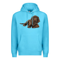 Ocean Blue Sussex Spaniels llustrations Premium Hoodie - LillyAllenDesigns