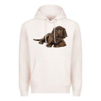 Pale Pink Sussex Spaniels llustrations Premium Hoodie - LillyAllenDesigns