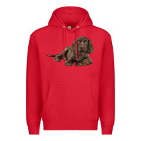 Red Sussex Spaniels llustrations Premium Hoodie - LillyAllenDesigns
