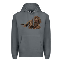 Rock Sussex Spaniels llustrations Premium Hoodie - LillyAllenDesigns