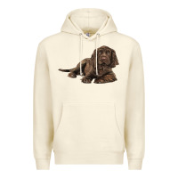 Sandshell Sussex Spaniels llustrations Premium Hoodie - LillyAllenDesigns