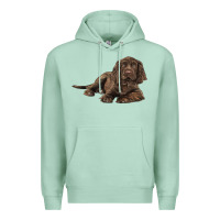 Seafoam Sussex Spaniels llustrations Premium Hoodie - LillyAllenDesigns