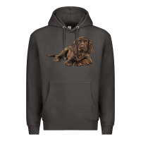 Smoke Sussex Spaniels llustrations Premium Hoodie - LillyAllenDesigns