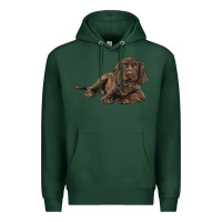 Sports Green Sussex Spaniels llustrations Premium Hoodie - LillyAllenDesigns