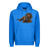 True Royal Sussex Spaniels llustrations Premium Hoodie - LillyAllenDesigns