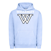 Pigment Grape Ice WELLESLEY Urban Hoodie - baoMotion