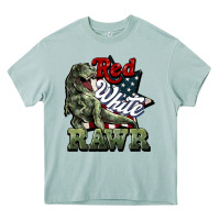 Arona Red white rawr 4th of july Heavy Core Tee - HowdyJamesFarm