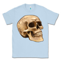 Dusty Blue skull Classic Tee - Artiststas