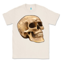 Natural skull Classic Tee - Artiststas