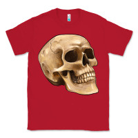 Red skull Classic Tee - Artiststas